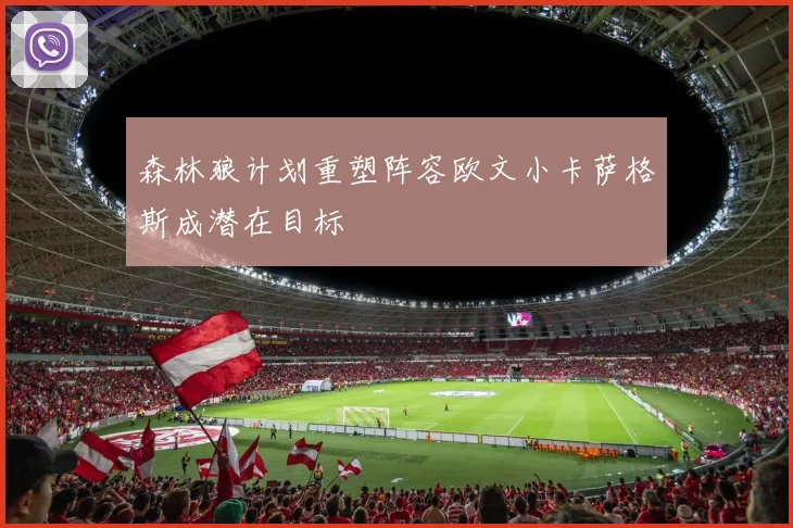 森林狼计划重塑阵容欧文小卡萨格斯成潜在目标