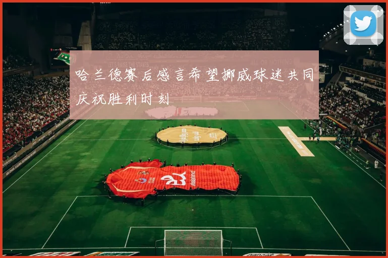 哈兰德赛后感言希望挪威球迷共同庆祝胜利时刻